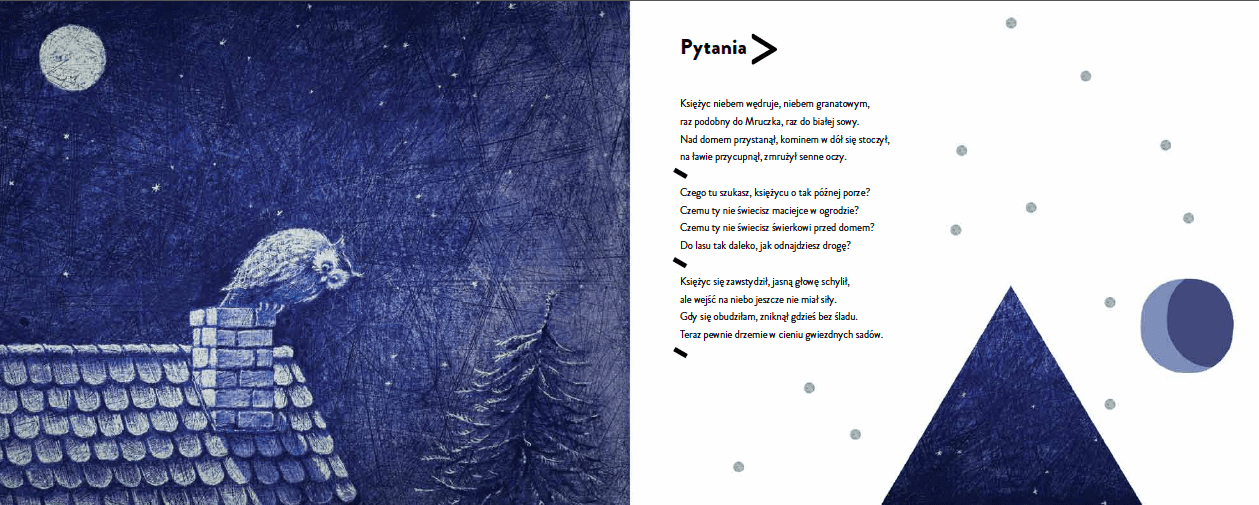 Pytania_małe